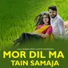 About Mor Dil Ma Tain Samaja Song